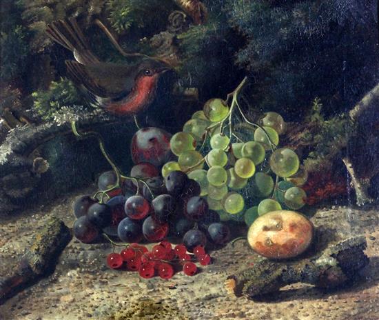 William Duffield (1816-1863) Still lifes of blue tits, grapes, redcurrants and a robin, 11.5 x 13.5in.